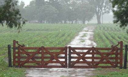 Mientras que en el oeste, con acumulados anuales “con menos de 700 mm”, no se prevén “demasiados problemas ante nuevos milimetrajes”, el panorama en el este es diametralmente opuesto