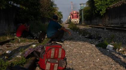 Migrantes en la carrilera el tren "la bestia"