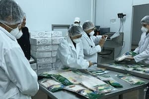 El dueño de una reconocida yerbatera se convirtió en el primer exportador de dorado y surubí a Brasil