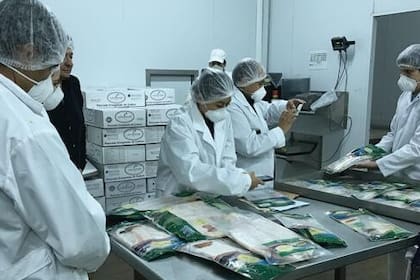 El dueño de una reconocida yerbatera se convirtió en el primer exportador de dorado y surubí a Brasil