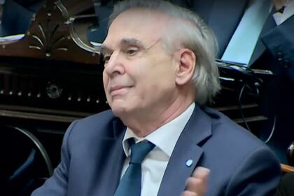 Miguel Ángel Pichetto, en el debate de la Ley Bases.