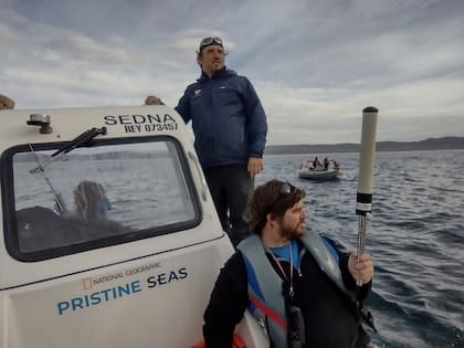 Miguel Bottazzi, capitán y guía ballenero (izq), y el biólogo Santiago Fernández (abajo), durante una salidas de identificación de ballenas sei; atrás, el gomón de apoyo con buzos y desde donde operan el drone para registrar imágenes aéreas