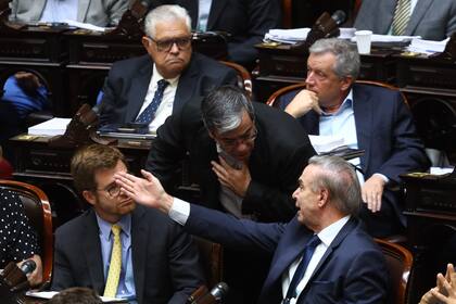 Miguel Pichetto discute con Germán Martínez en el recinto de la Cámara de Diputados