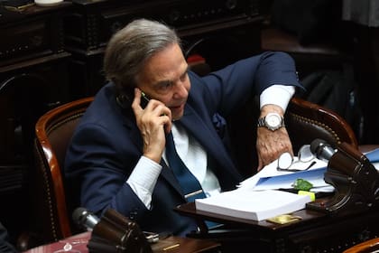 Miguel Pichetto durante la segunda jornada de debate por la "Ley Ómnibus" en la cámara de Diputados