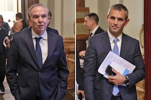 Miguel Pichetto y Martín Menem