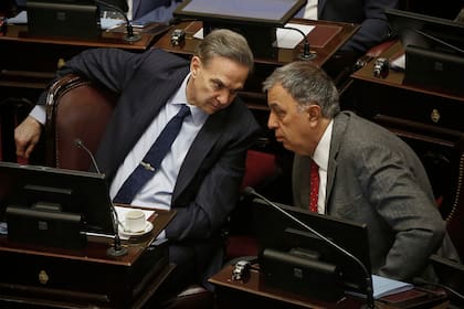 Pichetto, uno de los pocos senadores peronistas que bajaron al recinto
