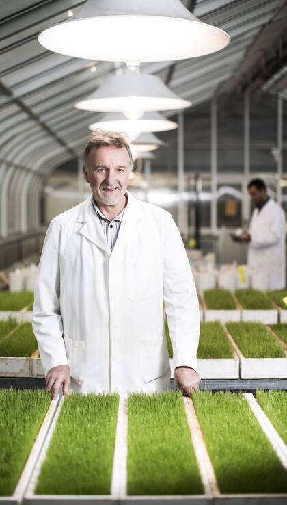 Mike McLaughlin en la Universidad de Adelaida midiendo las respuestas en fertilizantes