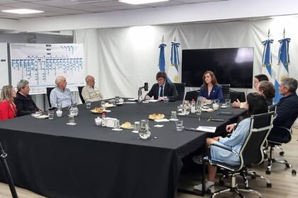 Milei al presentar su programa de gobierno