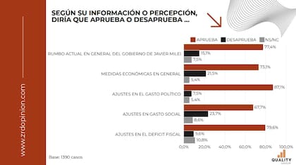 Milei consigue el apoyo de los argentinos que residen en el exterior