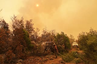 Milei declara zona de desastre y emergencia en la Patagonia por incendios forestales