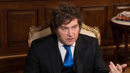 Milei en una entrevista con la TV Pública