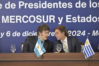 Milei y Luis Lacalle Pou durante la Cumbre del Mercosur Photo: Santiago Mazzarovich/dpa