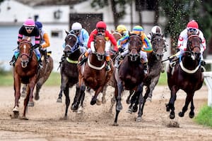 El caballo argentino tuvo su gran fiesta