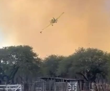 Miles de hectáreas quemadas y sistemas productivos afectados tras los incendios rurales del verano