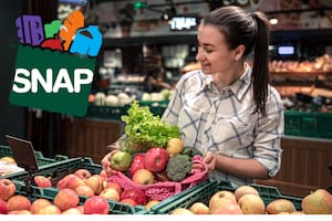 Arizona confirma el calendario de pagos SNAP para febrero de 2026