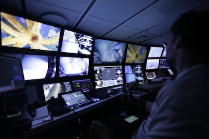 Miles de personas se reúnen de día y noche en el streaming para ver los descubrimientos mientras investigadores argentinos responden sus preguntas