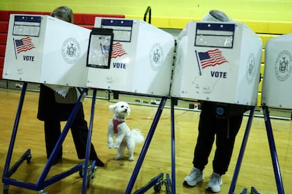 Miles de personas votaron anticipadamente en Nueva York
