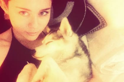 Miley, triste por la muerte de su perro Floyd