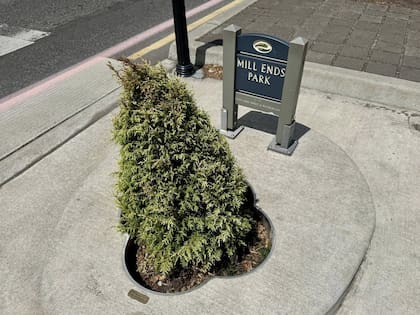 Mill Ends Park es el parque más pequeño de Estados Unidos