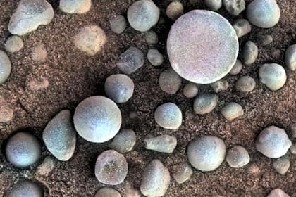 Millones de "arándanos" como estos salpican la superficie de Marte; podrían contener un rastro importante de agua antigua (Foto: Gentileza NASA)