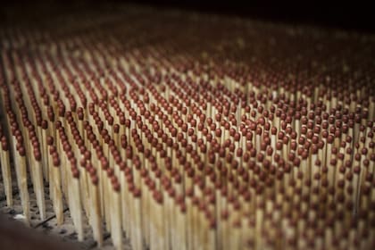 Millones de fósforos sobre la cinta transportadora donde reciben un tratamiento de secado intensivo.