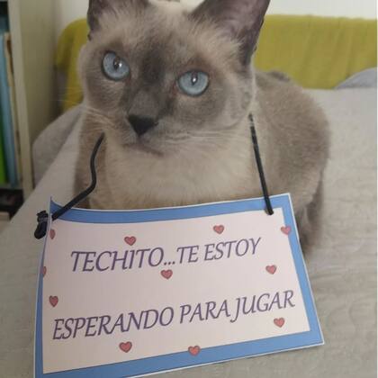 Milonga, de 13 años, con un cartel de bienvenida para Techito.
