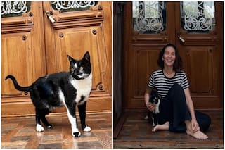 La historia de Milonga, la nueva gata de Natalia Oreiro: “Nos eligió”