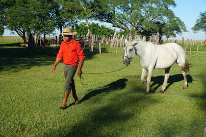 Mingo Ávalos, uno de los guías baqueanos, que conoce mejor que nadie la zona y solo habla guaraní