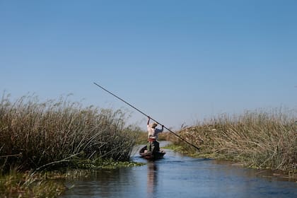 Mingo, uno de los canoeros de Concepción del Yaguareté. 29/7/17