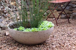 Mini estanque en una maceta con forma de paila.