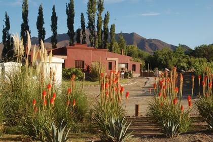 Miraluna, un precioso emprendimiento de ecoturismo en Cachi, Salta