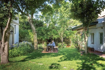 Miriam, fanática de la jardinería, se ocupó de recuperar el césped –que estaba muy maltrecho–, de poner canteros de agapantos y de podar y mantener en buena forma los ejemplares históricos de la casa: un nogal, un limonero, un olivo y un árbol de paltas