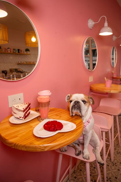 "Mirtha me acompaña a todos lados, a grabar al canal, todo. Si no me dejan entrar a algún lugar con ella, me enojo y no voy más", cuenta Valentina.