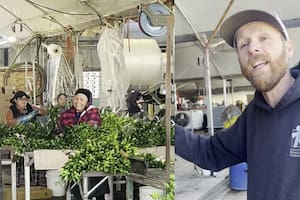 "Mis compatriotas no trabajan", la queja de un patrón estadounidense y el elogio de los migrantes de su empresa (captura video de TikTok)