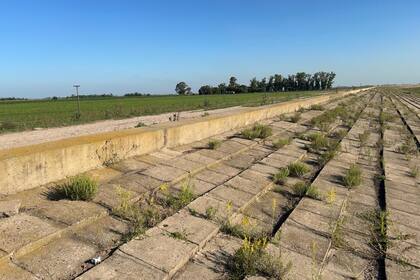 “Mis padres fallecieron los dos esperando que el Estado les pague la expropiación”, dice Miguel Linguido