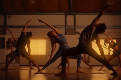 MISA, el culto de yoga liderado por el gurú Gregorian Bivolaru, hoy buscado por Interpol.