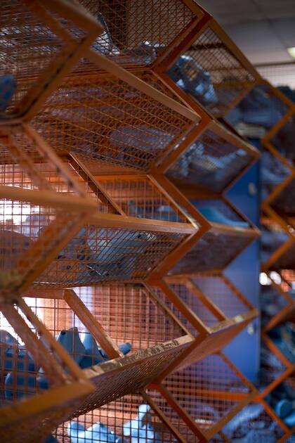 Mishka vuelca su estrategia al e-shop