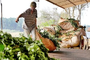 Luis Caputo se reunió con los supermercados en medio de la tensión por los aumentos de precios de los alimentos - Image 3