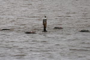 Misterio en el Río de la Plata: el niño que camina de espaldas sobre el agua