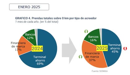 Modalidad utilizada por los compradores durante enero 2025
