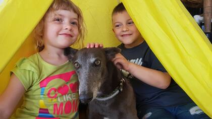 Moe se apropió de la carpita de los chicos y la convirtió en su refugio.