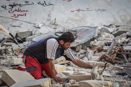 Mohammed Alaa al-Jaleel rescata gatos entre los escombros de la guerra en Siria y les salva la vida