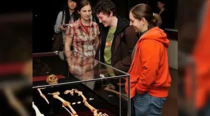 Molde en 3D del esqueleto del Homo floresiensis