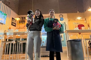 Las marcas argentinas que se animaron a romper los moldes