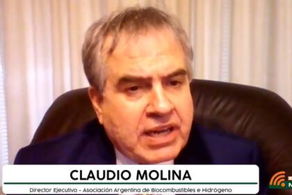 Caludio Molina, director ejecutivo de la Asociación Argentina de Biocombustibles e Hidrógeno