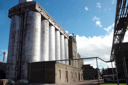 Molino Cañuelas es la principal empresa de Grupo Navilli