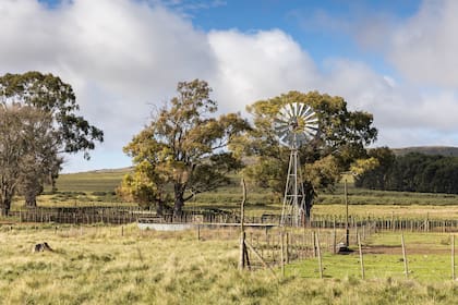 Molino, tanque y alambrado: escena clásica del interior de la provincia de Buenos Aires