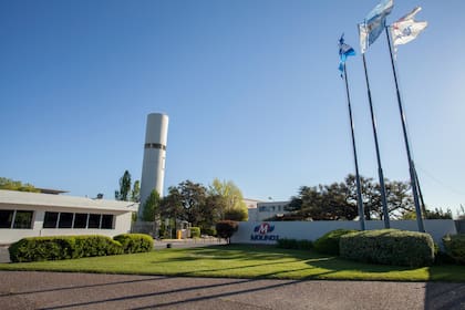 Molinos Río de la Plata experimentó una contracción del 6,5% en los volúmenes entregados