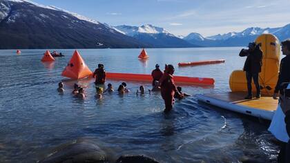 Momento en que se realiza una inmersión de 2 a 3 minutos en las aguas heladas del Canal de los Témpanos