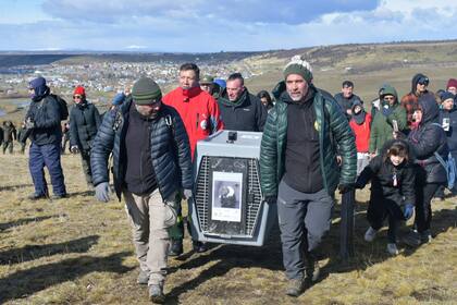 Momentos en que portan el canil con el condor hasta la cima del Mirador de Condores, de fondo la localidad de 28 de Noviembre, Santa Cruz.